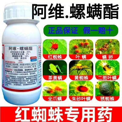 红蜘蛛专杀专用杀虫剂阿维螺螨酯柑橘果树月季花卉正品农药杀螨剂