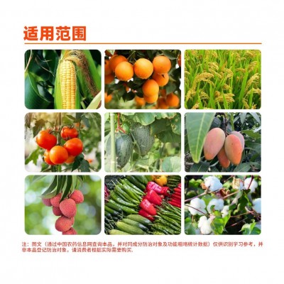 活力巴巴 3%硝钠·胺鲜酯调节生长生长调节剂图4