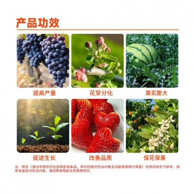 活力巴巴 3%硝钠·胺鲜酯调节生长生长调节剂图3