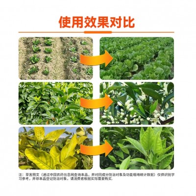 14一羟基芸苔素甾醇高含量0.01%芸苔素内脂保花保果防冻解药害图4