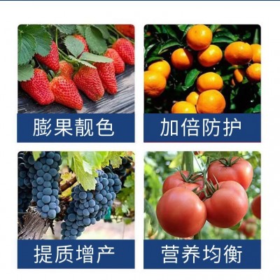 源头厂家十二元素叶面肥螯合工艺果树蔬菜药材农用多元素水溶肥图4