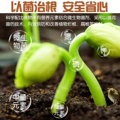 涵物烂根救根宝防烂根根腐死秧烂棵猝倒立枯等植物根部营养肥图5