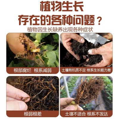 涵物高纯多爆根生根粗根壮根多根养根护根微量元素营养液厂家批发图2