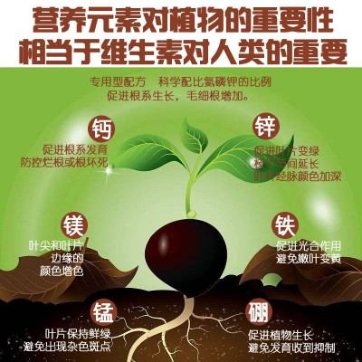 涵物高纯多爆根生根粗根壮根多根养根护根微量元素营养液厂家批发图4