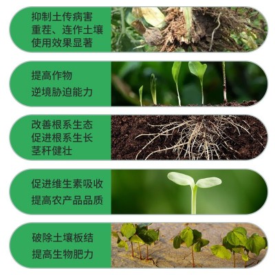 枯草芽孢杆菌1000亿全水溶高活性益生菌农用抑菌微生物菌剂原菌粉图3