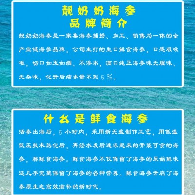 热卖厂家直营批发辽刺参北方刺参8-12头鲜食海参肉质饱满（硬口）图3