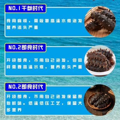 热卖厂家直营批发辽刺参北方刺参8-12头鲜食海参肉质饱满（硬口）图2