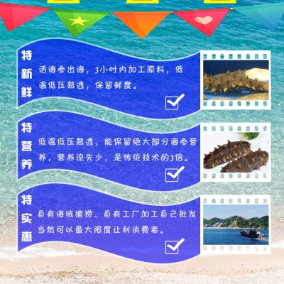 热卖厂家直营批发辽刺参北方刺参8-12头鲜食海参肉质饱满（硬口）图4