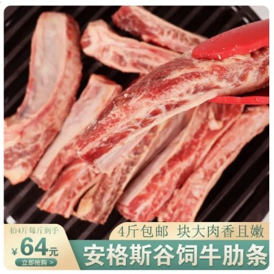 【肥瘦相间】安格斯原切谷饲雪花牛肋条肉500g商用去骨新鲜烤肉图4