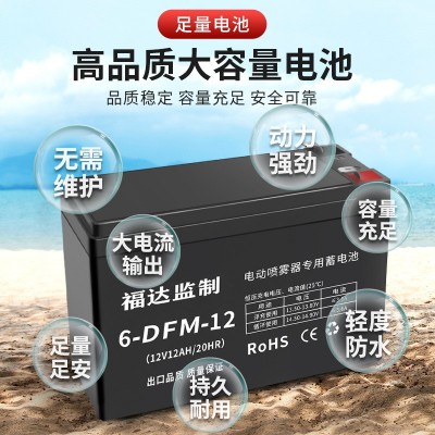 福达新品推荐 加厚农用园艺打药机 喷雾智能高压大功率电动喷雾器图2