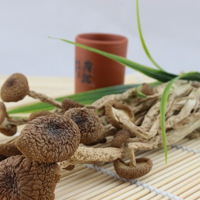 源头厂家香菇未开伞茶树菇新货食用菌南北干货酒店餐饮火锅食材图2