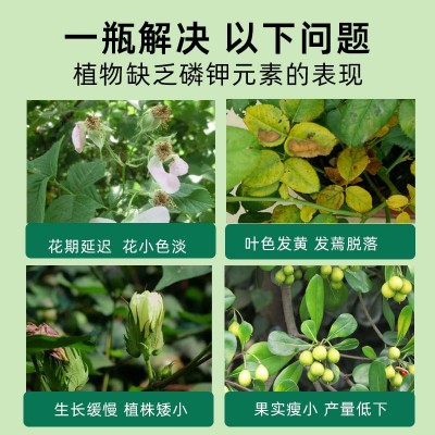 磷酸二氢钾叶面肥 花卉果蔬农用氮磷钾复合肥 花肥料促花 养花通用图4