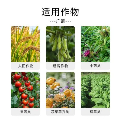 矿源黄腐酸钾水溶肥生根壮苗黄腐酸钾新疆工厂土壤调节叶面肥图3