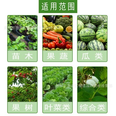 黄叶一喷绿叶面肥料绿叶先锋氨基酸水溶肥提高绿叶素黄叶卷叶绿素图4