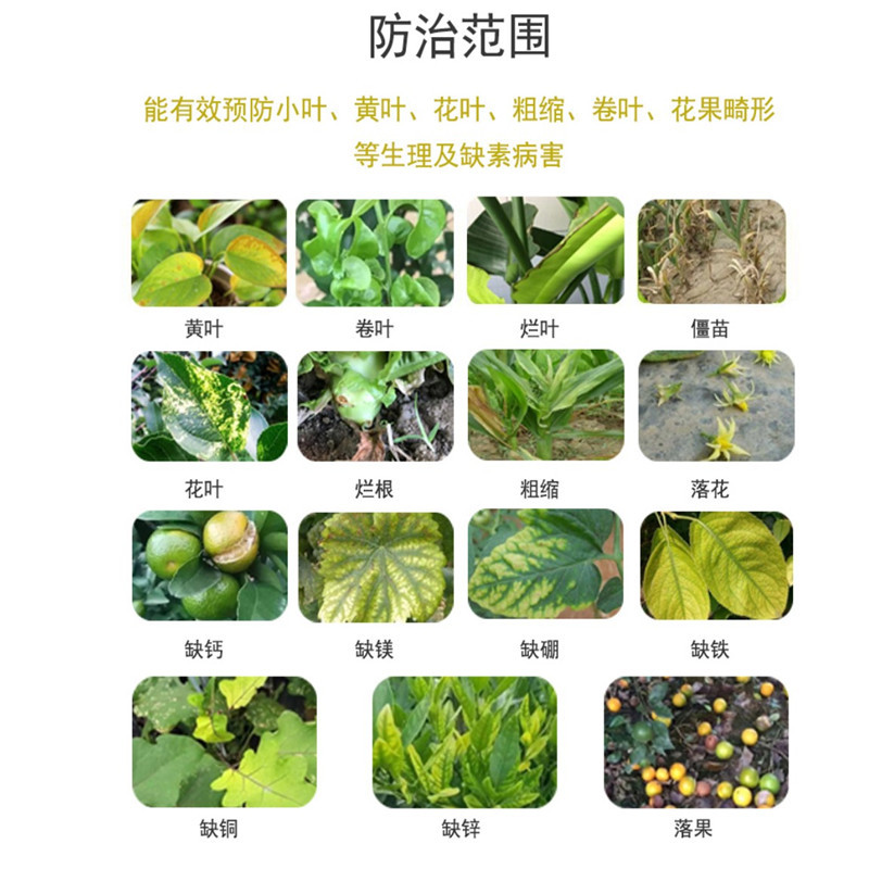 一喷绿