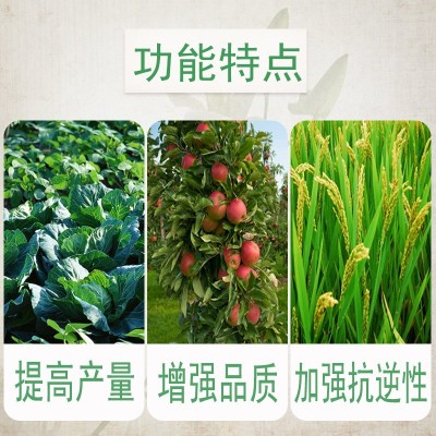 磷酸二氢钾叶面肥料果树蔬菜磷钾肥水溶肥农产品增强品质提高产量图2