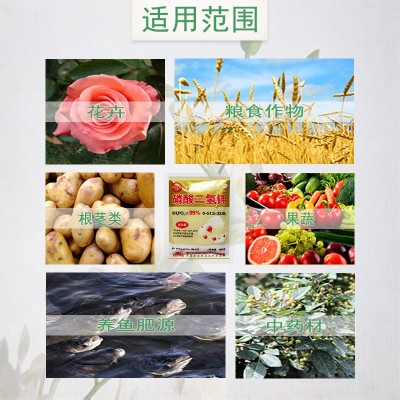 磷酸二氢钾叶面肥料果树蔬菜磷钾肥水溶肥农产品增强品质提高产量图3