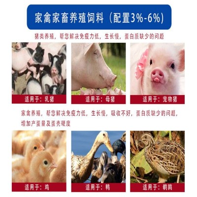 秘鲁蒸气鱼粉宠物鱼粉.秘鲁鱼粉.膨化鱼粉.饲料级鱼粉图4