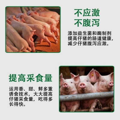 买十送一 厂家批发 4%小猪预混合饲料复合预混饲料混料养殖大量图4
