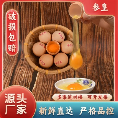 20枚装富硒鸡蛋谷物鸡蛋包邮鲜鸡蛋一件代发批发土鸡蛋批整箱