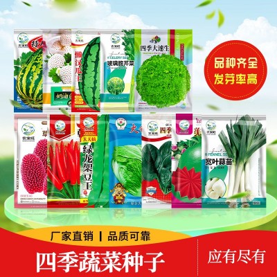 批发四季春夏秋季蔬菜种子瓜果种籽阳台盆栽农田菜园蔬菜种子大全图3