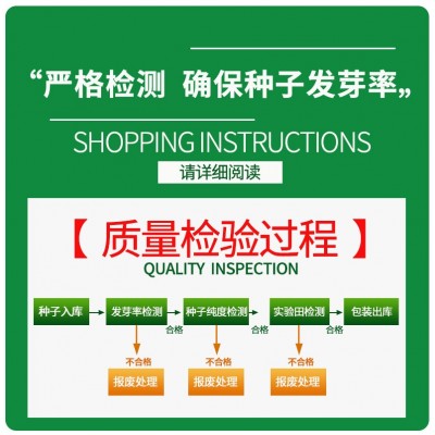 批发四季春夏秋季蔬菜种子瓜果种籽阳台盆栽农田菜园蔬菜种子大全图2