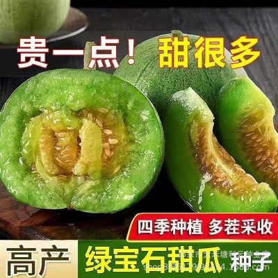 绿宝石甜瓜种子薄皮超甜香瓜种子春季四季脆瓜早熟水果种子抗热图2