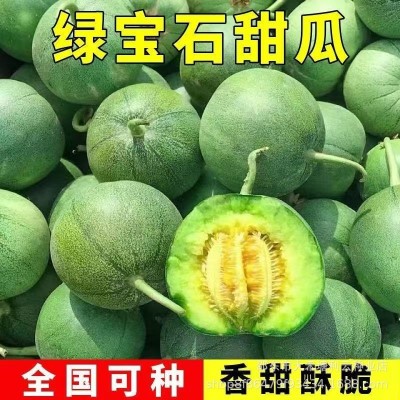 绿宝石甜瓜种子薄皮超甜香瓜种子春季四季脆瓜早熟水果种子抗热