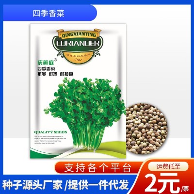 厂家批发代发快速香菜种子40克芫荽籽大叶耐热耐寒四季蔬菜种子