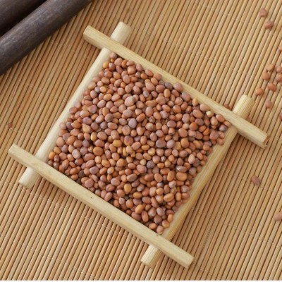 批发白杆萝卜芽苗菜种子水培芽苗菜萝卜苗种子当季新种图3