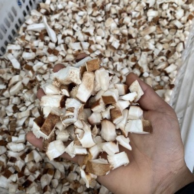 东北新鲜干货香菇批发菌汤福建火锅食材食品商用面包调料粒丁