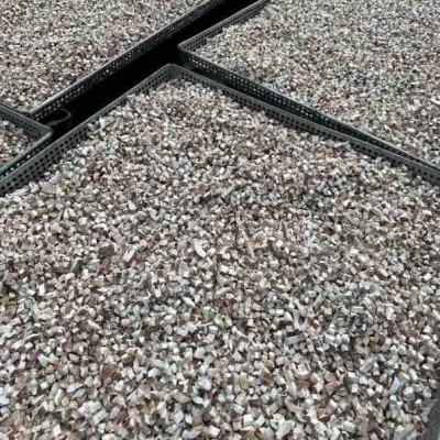 东北新鲜干货香菇批发菌汤福建火锅食材食品商用面包调料粒丁图5