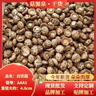 河南香菇百花菇蘑菇源头工厂直发餐饮酒店食品厂直供货源稳定充足