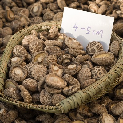 厂家直销春载A及茶花菇大小规格齐全冬菇批发
