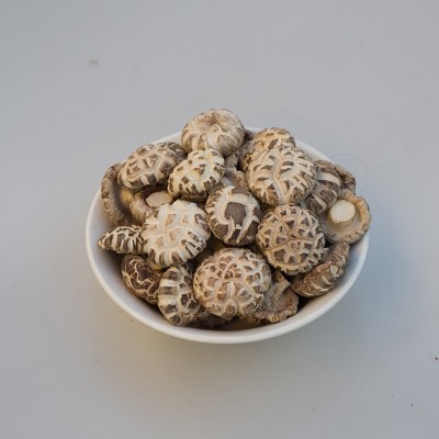 厂家直销春载一级白花菇干货冬菇干货批发图3