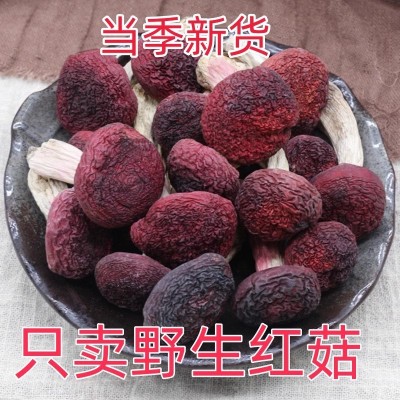 红菇福建古田大红菇干货野生红菇见手青红菌红蘑菇红伞伞白 杆杆