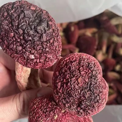 红菇福建古田大红菇干货野生红菇见手青红菌红蘑菇红伞伞白 杆杆图2