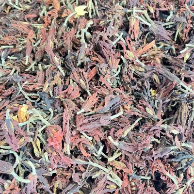 云南山货大货批发散装玉兰花茶玉兰花干白玉兰花肾兰花圣兰花茶图5