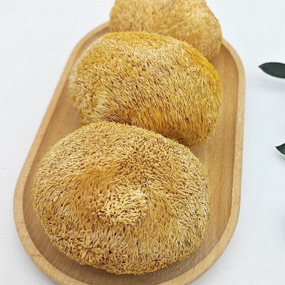 产地直销 干货批发无熏硫小猴头菇福建农家特产食用菌干货营养品图3