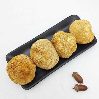 产地直销 干货批发无熏硫小猴头菇福建农家特产食用菌干货营养品图4