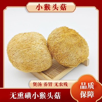 产地直销 干货批发无熏硫小猴头菇福建农家特产食用菌干货营养品