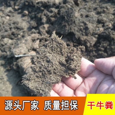 晾晒干牛粪 发酵肥料花蔬菜肥 果树专用底肥 养分丰富