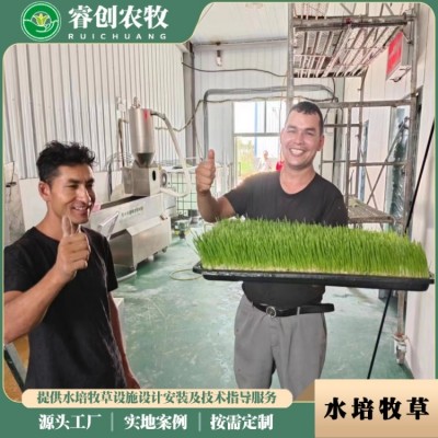 水培牧草设备 绿色健康牧草种植系统 无土栽培 睿创农牧