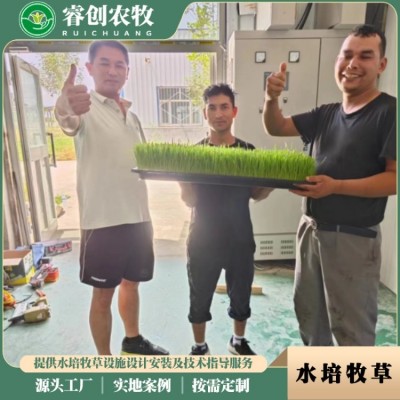 新型水培青绿牧草设备 无土栽培饲料种植栽培架设备 方便操作