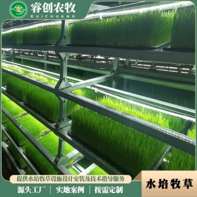 新型水培青绿牧草设备 无土栽培饲料种植栽培架设备 方便操作图3
