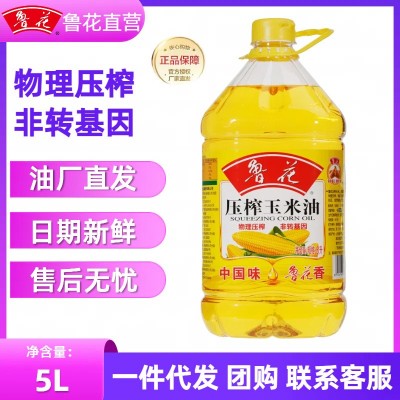 【官方直营】鲁花压榨玉米油5L物理压榨特香非转基因一级食用油