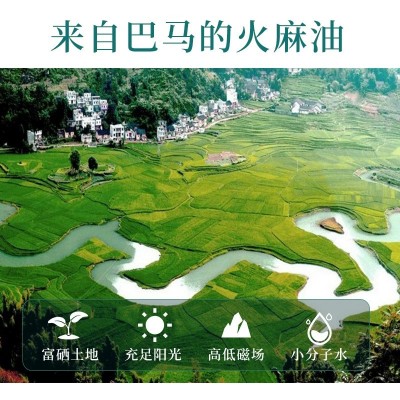 火麻油 厂家批发巴马纯火麻籽油火麻仁油500ML礼盒 会销团购礼品图2