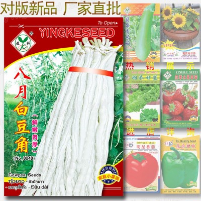八月白豆角种籽 约50粒 厚肉豇豆种籽 鲜嫩白长豆籽 蔬菜种子批发