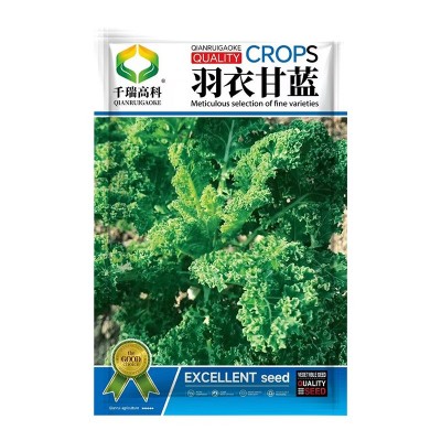 食用皱叶羽衣甘蓝种子耐热甘蓝种籽春秋冬四季阳台盆栽蔬菜种孑图5