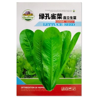 孔雀菜种子 罗马直立生菜种子四季沙拉菜种籽 耐寒阳台盆栽蔬菜图5
